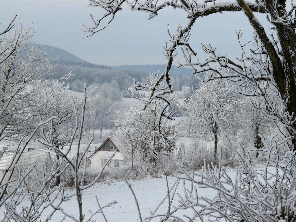 Haus Mit Aussicht Apartman Horn-Bad Meinberg Kültér fotó